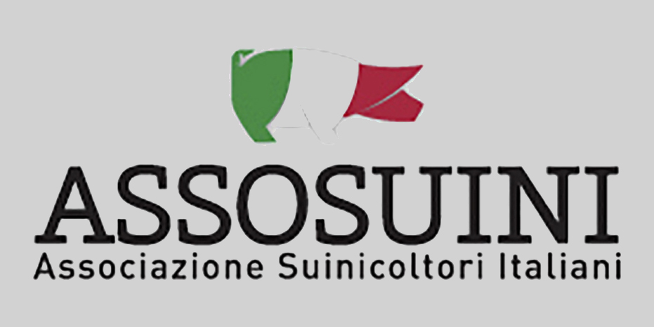 Assosuini