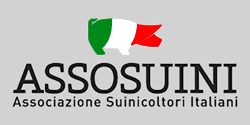 Assosuini